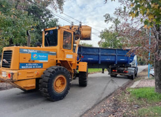 Cronograma del sistema municipal de recolección de ramas para esta semana