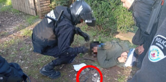 Dos disparos de Byrna: La Policía Municipal evitó un robo y redujo a un delincuente usando armas no letales