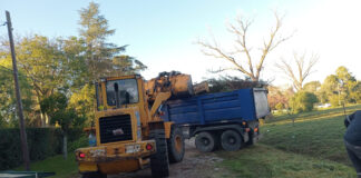 Cronograma del sistema municipal de recolección de ramas para esta semana