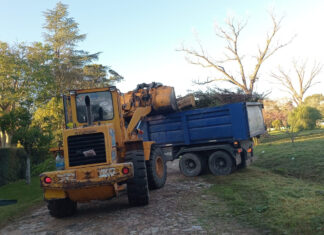 Cronograma del sistema municipal de recolección de ramas para esta semana