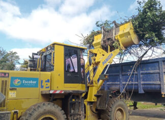 Cronograma del sistema municipal de recolección de ramas para esta semana