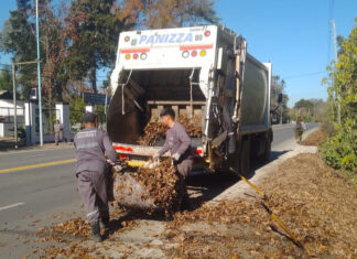 Cronograma del sistema municipal de recolección de ramas para esta semana