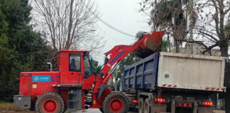 Cronograma del sistema municipal de recolección de ramas para esta semana