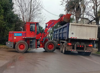 Cronograma del sistema municipal de recolección de ramas para esta semana