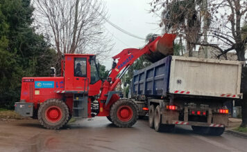 Cronograma del sistema municipal de recolección de ramas para esta semana