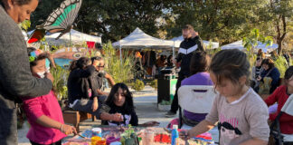 Vacaciones sin pantallas: actividades recreativas y educativas para las infancias