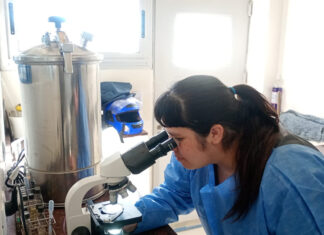 Triquinosis: ante el brote en la Provincia, Escobar refuerza la prevención