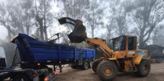 Cronograma del sistema municipal de recolección de ramas para esta semana