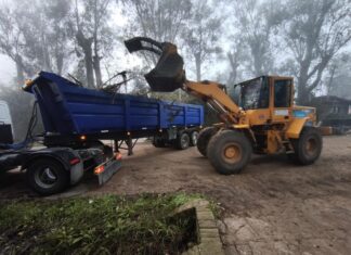 Cronograma del sistema municipal de recolección de ramas para esta semana