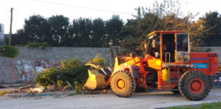 Cronograma del sistema municipal de recolección de ramas para esta semana