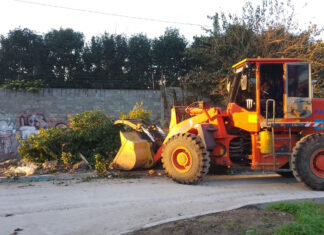 Cronograma del sistema municipal de recolección de ramas para esta semana