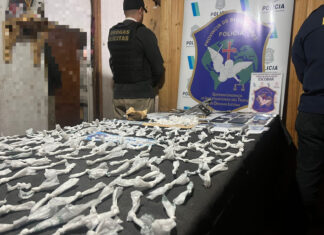 Desarticulan una red de narcomenudeo en Escobar gracias al trabajo conjunto entre la Policía Municipal y la Bonaerense