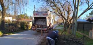 Cronograma del sistema municipal de recolección de ramas para esta semana