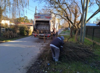 Cronograma del sistema municipal de recolección de ramas para esta semana