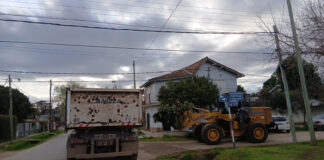 Cronograma del sistema municipal de recolección de ramas para esta semana