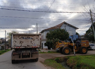 Cronograma del sistema municipal de recolección de ramas para esta semana