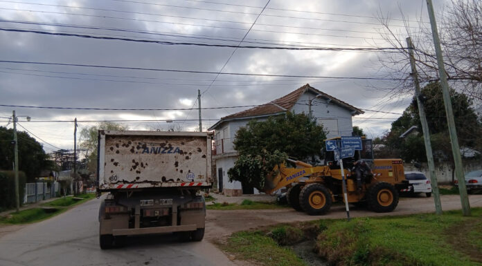 Cronograma del sistema municipal de recolección de ramas para esta semana