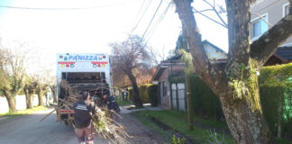 Cronograma del sistema municipal de recolección de ramas para esta semana