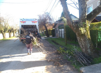 Cronograma del sistema municipal de recolección de ramas para esta semana