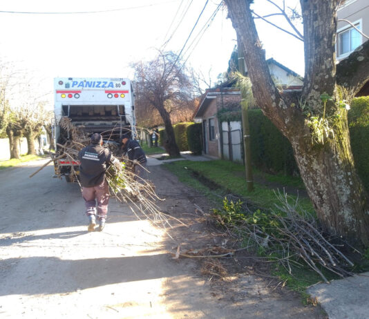 Cronograma del sistema municipal de recolección de ramas para esta semana