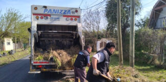 Cronograma del sistema municipal de recolección de ramas para esta semana