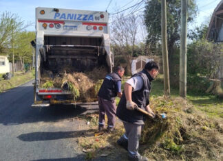 Cronograma del sistema municipal de recolección de ramas para esta semana
