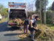 Cronograma del sistema municipal de recolección de ramas para esta semana
