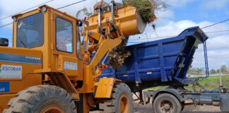 Cronograma del sistema municipal de recolección de ramas para esta semana