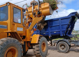 Cronograma del sistema municipal de recolección de ramas para esta semana