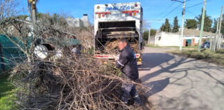 Cronograma del sistema municipal de recolección de ramas para esta semana