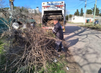 Cronograma del sistema municipal de recolección de ramas para esta semana