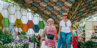 El Día del partido de Escobar se pasa del 8 al 9 de octubre: finde XXL y entrada gratis a la Fiesta Nacional de la Flor