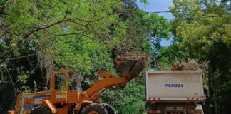 Cronograma del sistema municipal de recolección de ramas para esta semana
