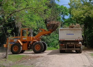 Cronograma del sistema municipal de recolección de ramas para esta semana