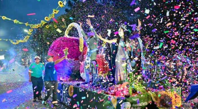 La lluvia no detuvo la alegría: miles de personas disfrutaron del desfile de carrozas en la 62ª Fiesta Nacional de la Flor