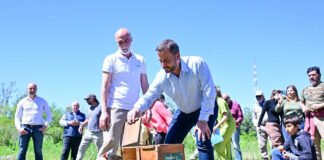 Emotiva liberación de aves silvestres nativas en la Reserva de Maschwitz