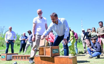 Emotiva liberación de aves silvestres nativas en la Reserva de Maschwitz