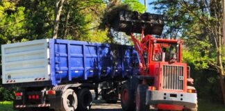 Cronograma del sistema municipal de recolección de ramas para esta semana