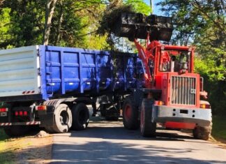 Cronograma del sistema municipal de recolección de ramas para esta semana