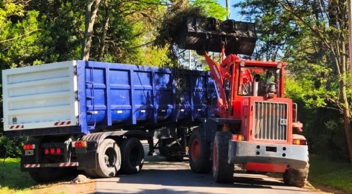 Cronograma del sistema municipal de recolección de ramas para esta semana