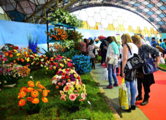 Finde en Escobar: la Fiesta Nacional de la Flor, Mercado de Oportunidades y Mr. Splendini son los eventos destacados