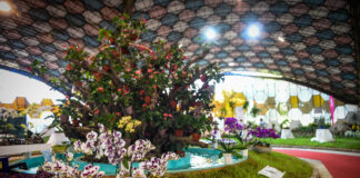 Fiesta Nacional de la Flor: “Viene gente de distintos lugares y se sorprende con la variedad casi interminable de productos”