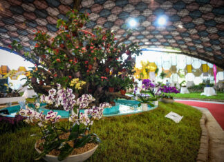 Fiesta Nacional de la Flor: “Viene gente de distintos lugares y se sorprende con la variedad casi interminable de productos”