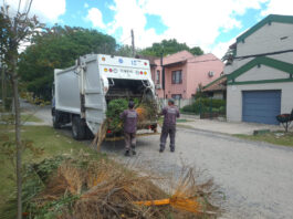 Cronograma del sistema municipal de recolección de ramas para esta semana