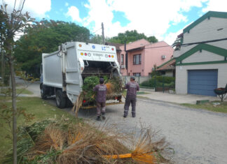 Cronograma del sistema municipal de recolección de ramas para esta semana