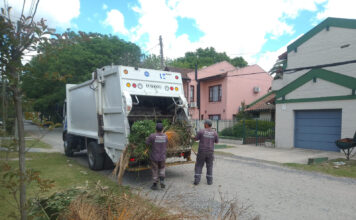 Cronograma del sistema municipal de recolección de ramas para esta semana