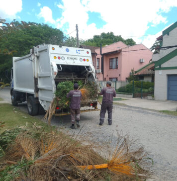 Cronograma del sistema municipal de recolección de ramas para esta semana
