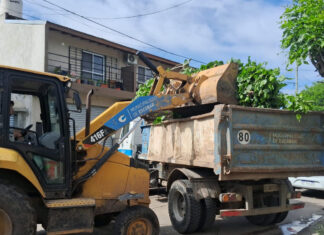 Cronograma del sistema municipal de recolección de ramas para esta semana