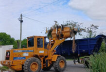 Cronograma del sistema municipal de recolección de ramas para esta semana