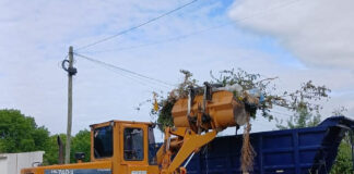 Cronograma del sistema municipal de recolección de ramas para esta semana